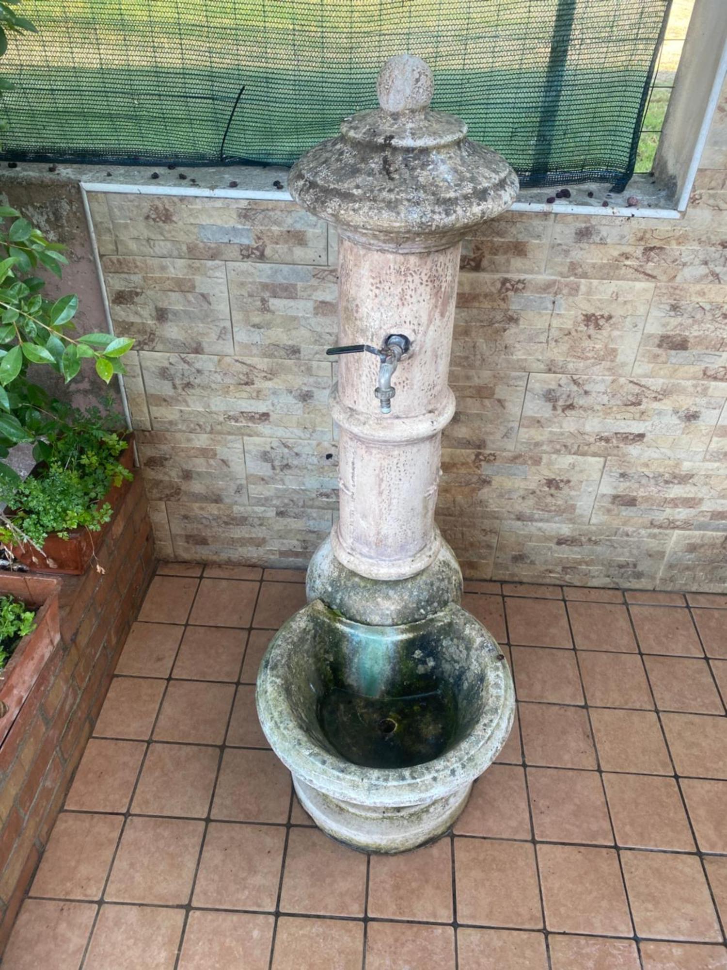 Willa L'Albero Di Limoni Sul Mare Di Pizzo Zewnętrze zdjęcie